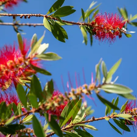 Kalypso With Private Swimming Pool Villa